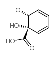 (1S,2R)-1,2-Dihydroxycyclohexa-3,5-diene-1-carboxylic acid picture