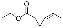 Cyclopropanecarboxylic acid, ethylidene-, ethyl ester (9CI) Structure