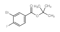 T-BUTYL 3-BROMO-4-FLUOROBENZOATE picture