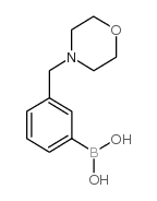 Boronic acid, [3-(4-morpholinylmethyl)phenyl]- (9CI) Structure