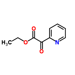 Ethyl oxo(2-pyridinyl)acetate picture
