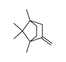 1,4,7,7-tetramethyl-2-methylenebicyclo[2.2.1]heptane Structure