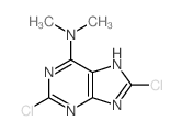 2,8-dichloro-N,N-dimethyl-5H-purin-6-amine结构式