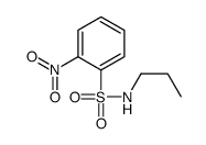 2-nitro-N-propylbenzenesulfonamide Structure