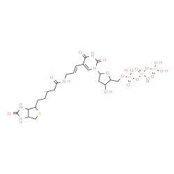 5-(N-biotinyl-3-aminoallyl)uridine 5'-triphosphate结构式