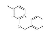 2-phenylmethyloxy-4-methylpyridine Structure