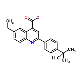 2-(4-tert-butylphenyl)-6-ethylquinoline-4-carbonyl chloride结构式