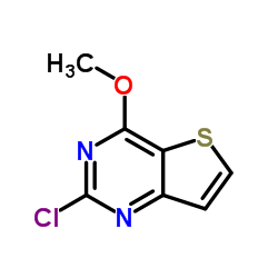 2-氯-4-甲氧基噻吩并[3,2-d]嘧啶图片