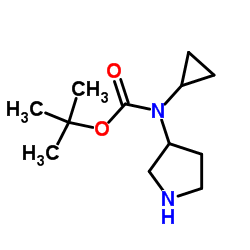 Cyclopropyl-pyrrolidin-3-yl-carbamic acid tert-butyl ester结构式