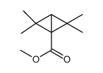 2,2,4,4-Tetramethylbicyclo[1.1.0]butane-1-carboxylic acid methyl ester picture