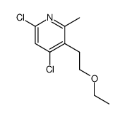 3-(2-ethoxy-ethyl)-4,6-dichloro-2-methyl-pyridine Structure