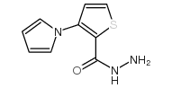 3-pyrrol-1-ylthiophene-2-carbohydrazide结构式