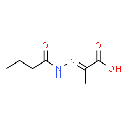 Butanoic acid,(1-carboxyethylidene)hydrazide (9CI) structure