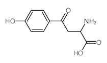 2-amino-4-(4-hydroxyphenyl)-4-oxo-butanoic acid结构式