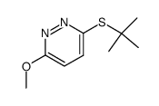 3-(tert-butylthio)-6-methoxypyridazine Structure