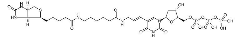 Biotin-11-dUTP structure