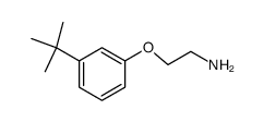 2-(3-tert-Butyl-phenoxy)-ethylamine结构式