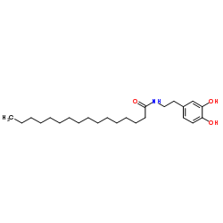 N-Palmitoyl Dopamine结构式