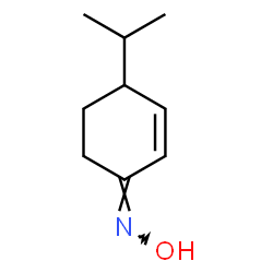 2-Cyclohexen-1-one,4-(1-methylethyl)-,oxime(9CI) structure