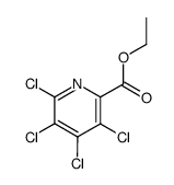 ETHYL 3,4,5,6-TETRACHLOROPYRIDINE-2-CARBOXYLATE结构式