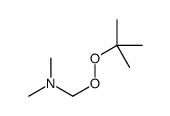 1-tert-butylperoxy-N,N-dimethylmethanamine Structure