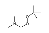 1-tert-butylperoxy-N,N-dimethylmethanamine结构式