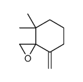 1-Methylene-5,5-dimethyl-7-oxaspiro[5.2]octane structure