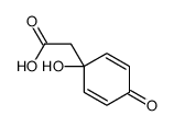 55604-87-0 structure