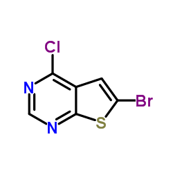 6-Bromo-4-chlorothieno[2,3-d]pyrimidine picture