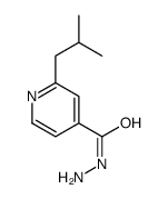 2-(2-methylpropyl)pyridine-4-carbohydrazide结构式
