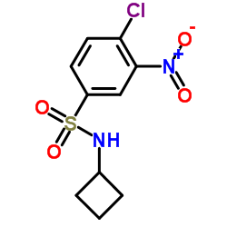 4-Chloro-N-cyclobutyl-3-nitrobenzenesulfonamide结构式