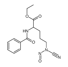 ethyl 2-benzamido-5-[cyano(nitroso)amino]pentanoate结构式