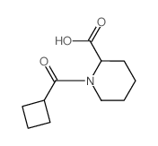 1-(Cyclobutylcarbonyl)-2-piperidinecarboxylic acid结构式