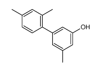 3-(2,4-dimethylphenyl)-5-methylphenol结构式