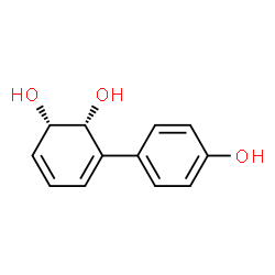 3,5-Cyclohexadiene-1,2-diol, 3-(4-hydroxyphenyl)-, (1S-cis)- (9CI) Structure