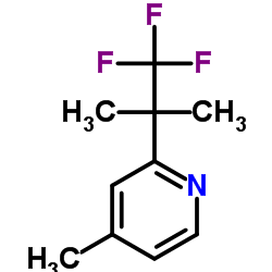 4-Methyl-2-(1,1,1-trifluoro-2-Methylpropan-2-yl)pyridine picture