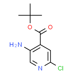 tert-Butyl 5-amino-2-chloroisonicotinate picture