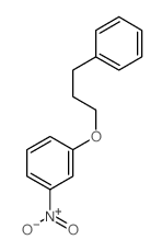 1-nitro-3-(3-phenylpropoxy)benzene Structure