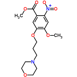 METHYL 4-METHOXY-5-(3-MORPHOLINOPROPOXY)-2-NITROBENZOATE结构式