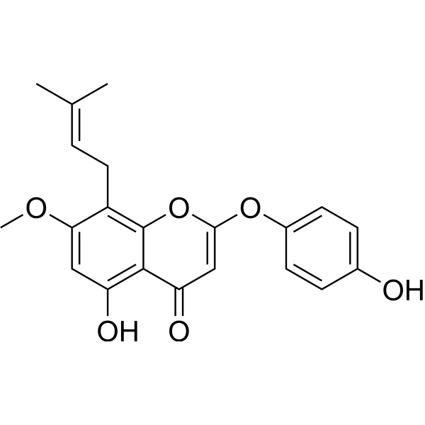 7-O-Methylepimedonin G图片