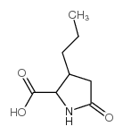 Proline,5-oxo-3-propyl- picture