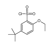 5-TERT-BUTYL-2-ETHOXYBENZENE-1-SULFONYL CHLORIDE结构式