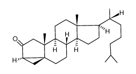 3α,5-Cyclo-5α-cholestan-2-on Structure