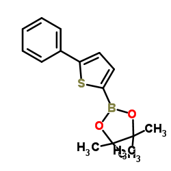 5-Phenylthiophene-2-boronic acid pinacol ester picture