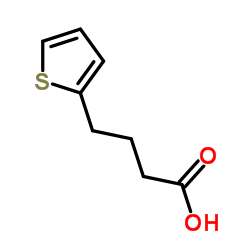 4-(2-Thienyl)butanoic acid picture