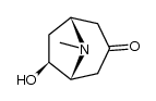 DL-EXO-6-HYDROXYTROPINONE)结构式