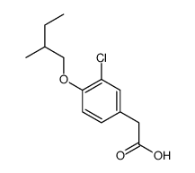 2-[3-chloro-4-(2-methylbutoxy)phenyl]acetic acid Structure