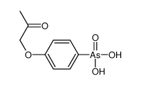 [4-(2-oxopropoxy)phenyl]arsonic acid Structure