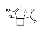 1,2-dichlorocyclobut-3-ene-1,2-dicarboxylic acid结构式