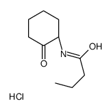 N-[(1S)-2-oxocyclohexyl]butanamide,hydrochloride结构式
